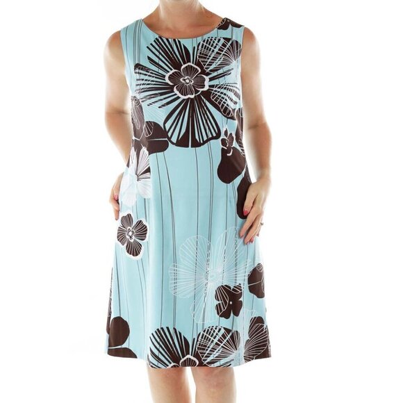 NorthStyle Dresses & Skirts - NorthStyle Baby Blue Flower Striped Shift Dress